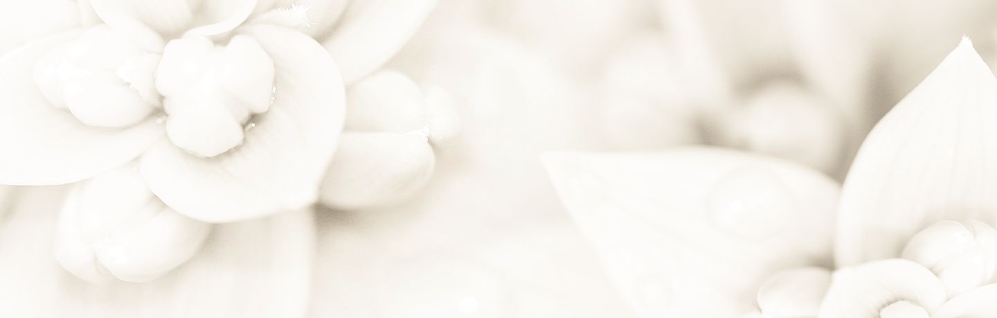 Lisa Adams Counseling MA LPC